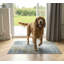 Tapis de lit pour chat lavable The Avalon Society, 36 x 48 po-121373146-121373152