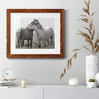Affection - Picture Frame Photograph