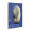 Contemplation, giclée d'ours polaire par Shane Lamb-662960027-662960022
