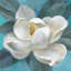 Orchidées de serre sur Shiplap III-2027681345
