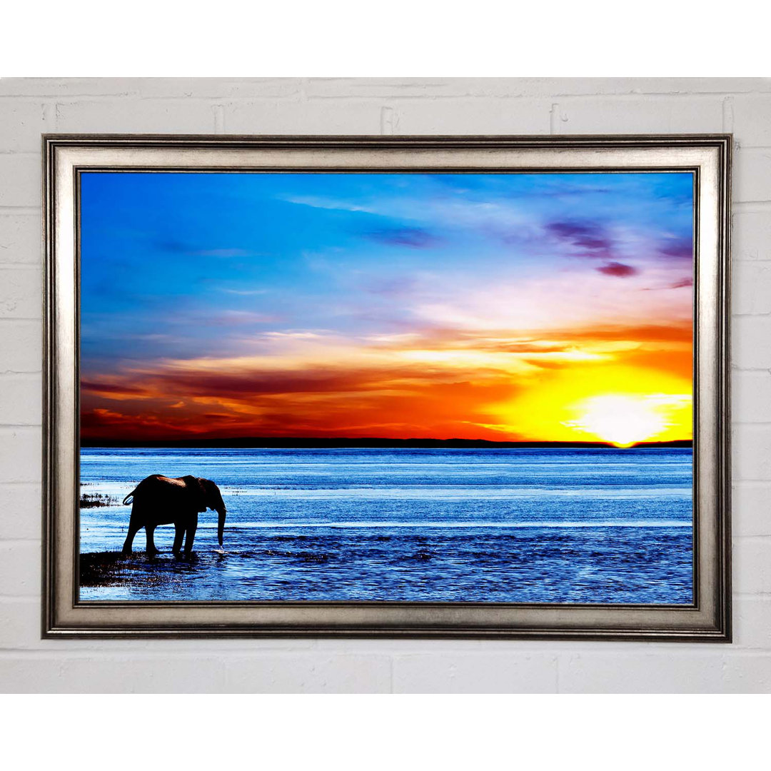 Gerahmtes Bild Elephant Ocean