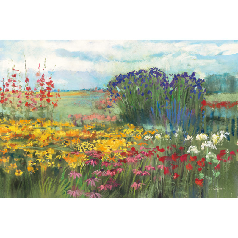 Garden Border by Carol Rowan - Wrapped Canvas Painting, 30cm H x 46cm W