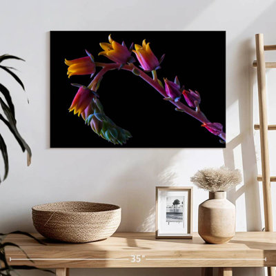 Succulent Flowers Stalk