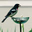 Mosaic Birds Pole Decorative Bird Feeder-38504111