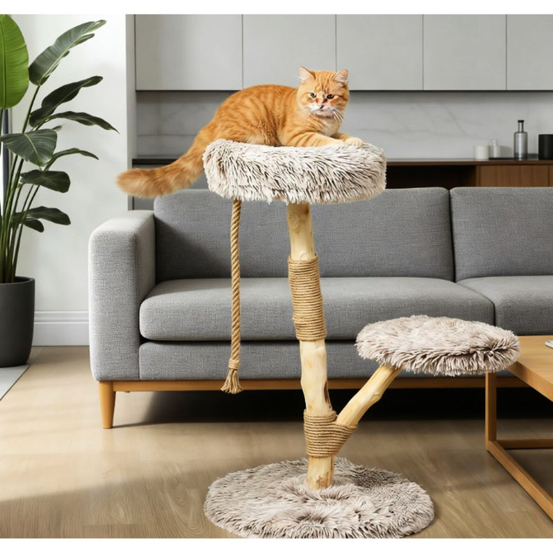 Arbre à chat en bois pour chats d'intérieur avec poteaux à griffer