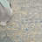 Craignamaddy Oriental Indoor Rug-1089001511