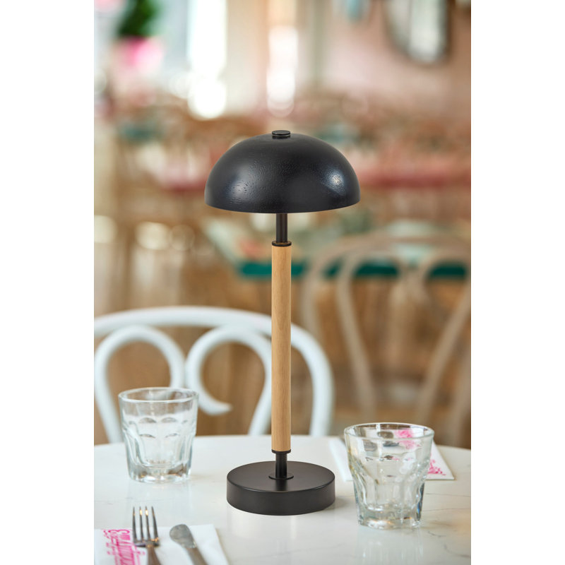 Lampe de table à DEL sans fil Ronny