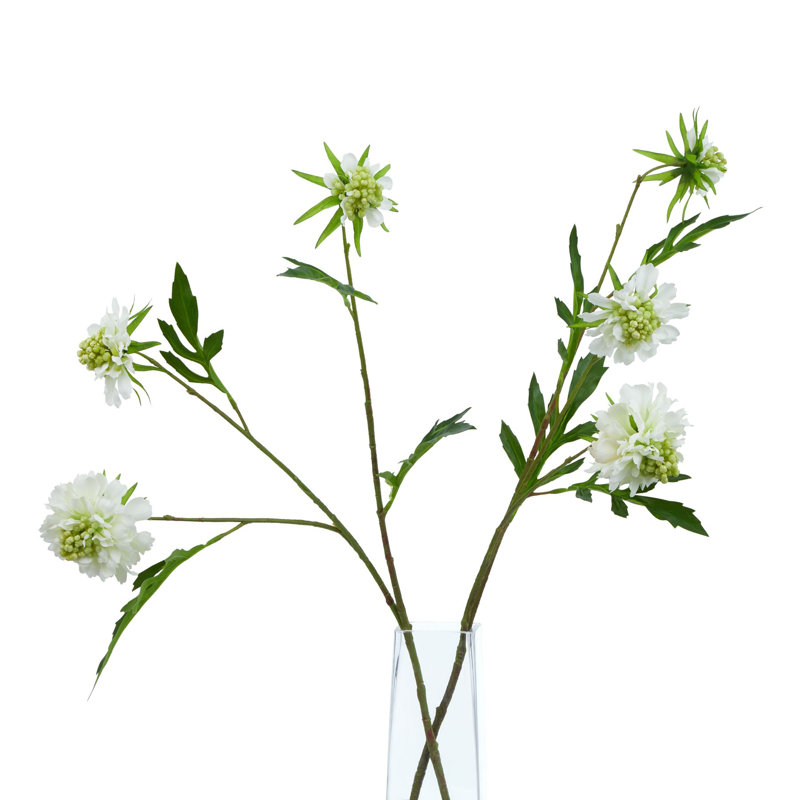 Anastasija Arrangement, White