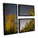 Star Trails by Cody York 3 Piece Framed Photographic Print on Canvas Set