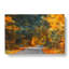 Forest Street - Wrapped Canvas-55317202