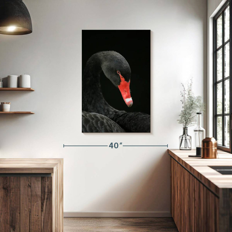 Brampt Black Swan Head, 39" H x 26" W