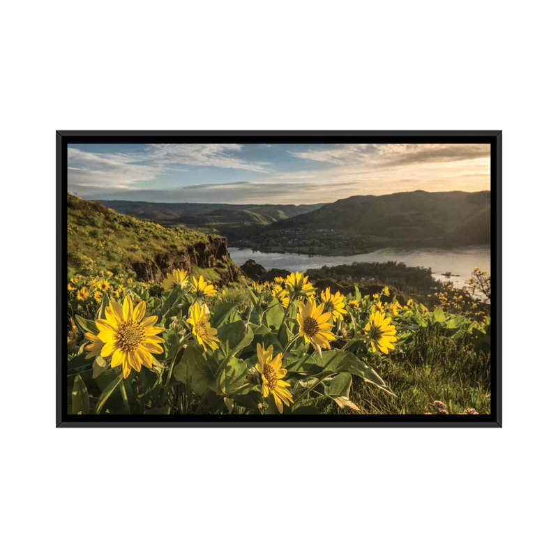 « tremping up the sun », impression sur toile, H 18 po x l 26 po x P 1,5 po, Toile avec cadre noir, Pas de tapis