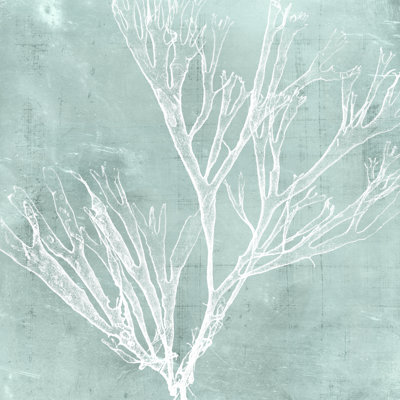 Algues sur aqua VII