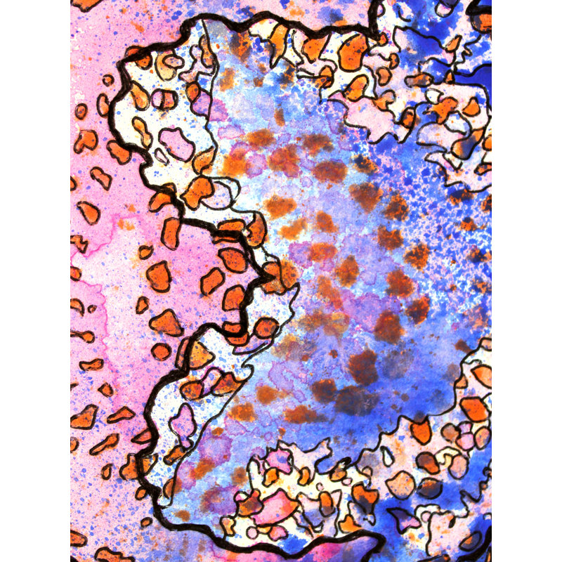 4, Inset A par Katie Schutte - Peinture encadrée, H 21,25 po x l 17,25 po