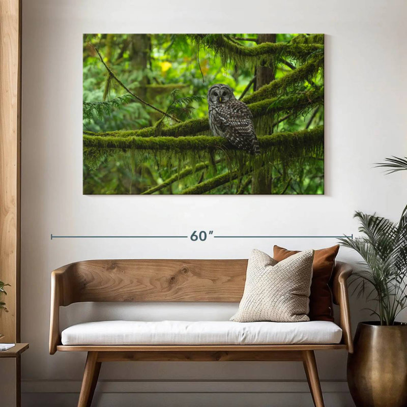 Hibou moussu Brampt, H 32 po x l 48 po