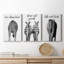 Elephant Bum - ensemble de 3 impressions sur toile tendue-1001542894