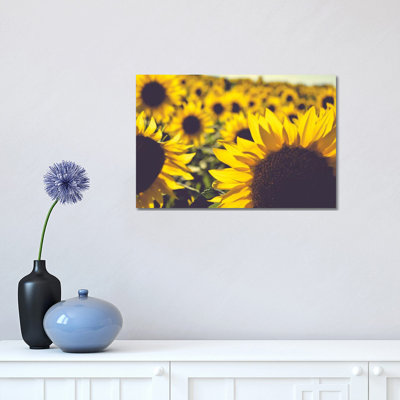 Dreamy Summer Sunflowers II 1 Piece Wrapped Canvas Wall Art