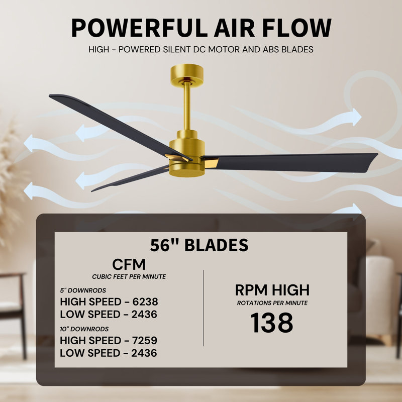 Alessandra Outdoor Downrod Ceiling Fan, Matte Black, Brushed Brass