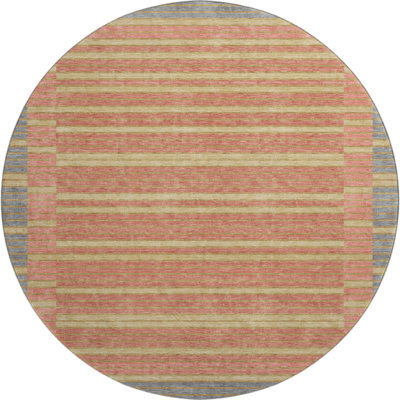 Premium Machine Washable Elize AMF1398 Stripes Rug