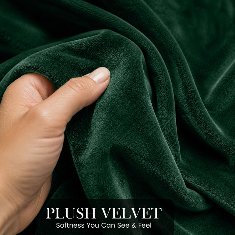 Crushed Velvet Eyelet Window Curtains, Green, 228cm Width x 168cm Drop