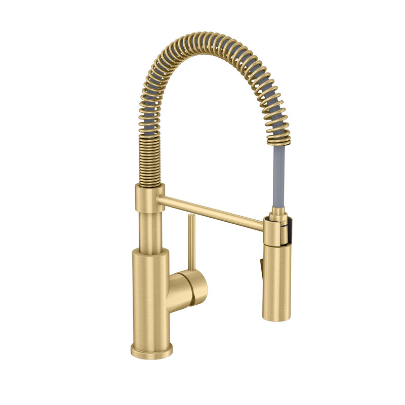 Vetta Pull Out Kitchen Faucet, Gold