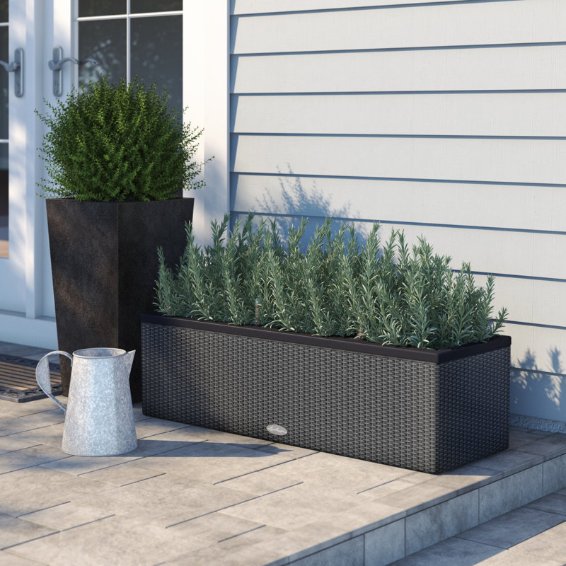 Trio Planter Box, Granite, 46.5cm H x 132.5cm W x 44.5cm D
