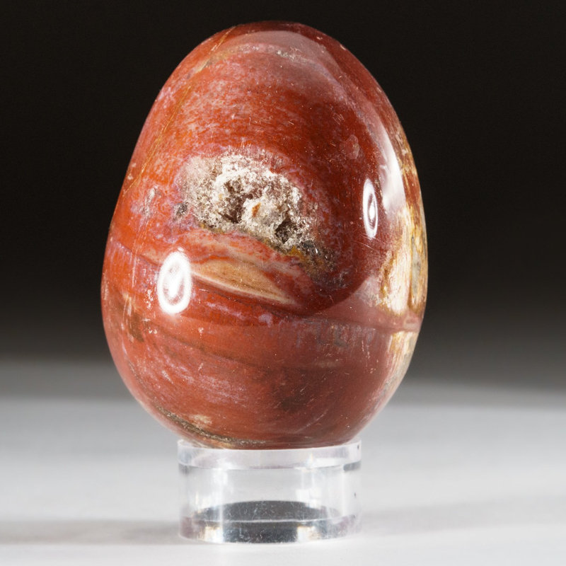 Petrified Wood Egg, Orange/Yellow/Brown, 3" H x 2" W x 2" D