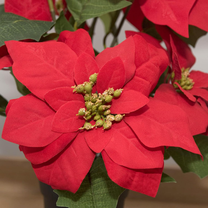 Poinsettia Arrangement, Red, 40cm x 25cm