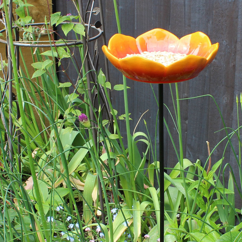 Mangeoire d'oiseaux sauvages Wild Poppy