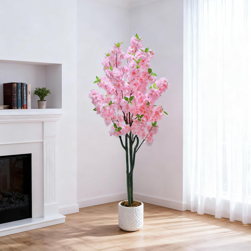 150cm Plant