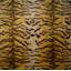 Tigre Fabric-25702855