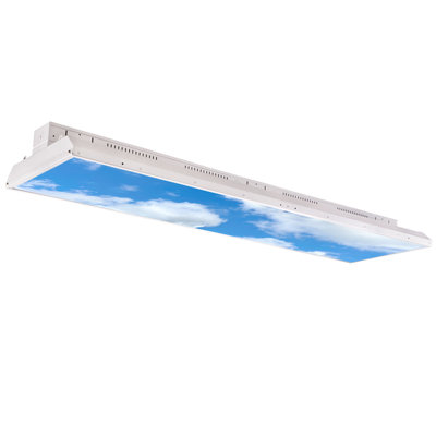 Biloxi Square Troffer Ceiling Light