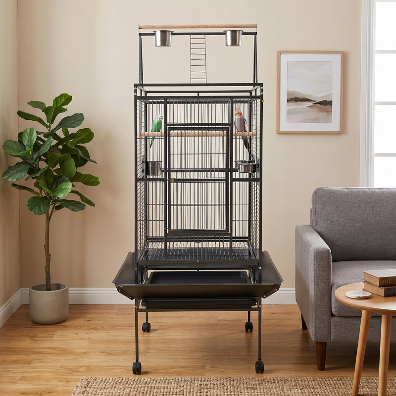 Cage à perroquet en fer forgé noir avec grande surface de jeu 68 po avec 4 roulettes verrouillables