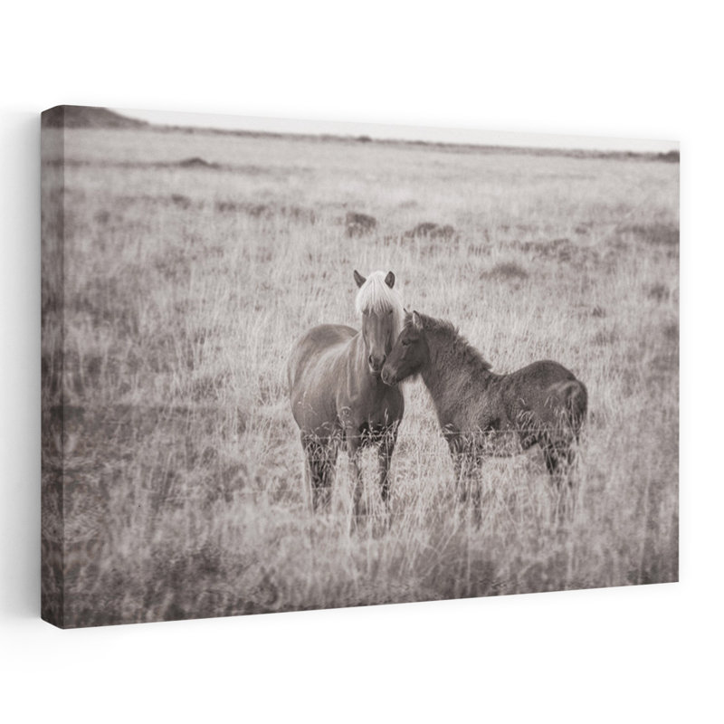 Pâturages, liberté, tranquillité, abstrait, cheval, paysage contemporain, art naturel, H 24 po x l 36 po