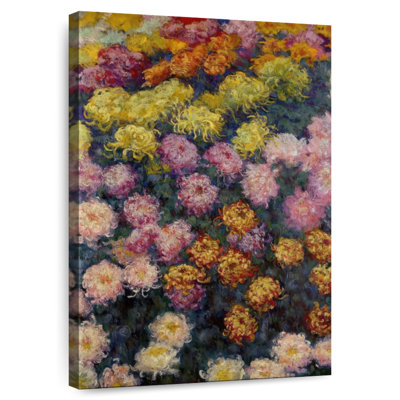 Lit de chrysanthèmes