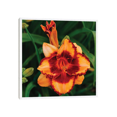 Daylily Garden XV 1 Piece Wall Art on Canvas