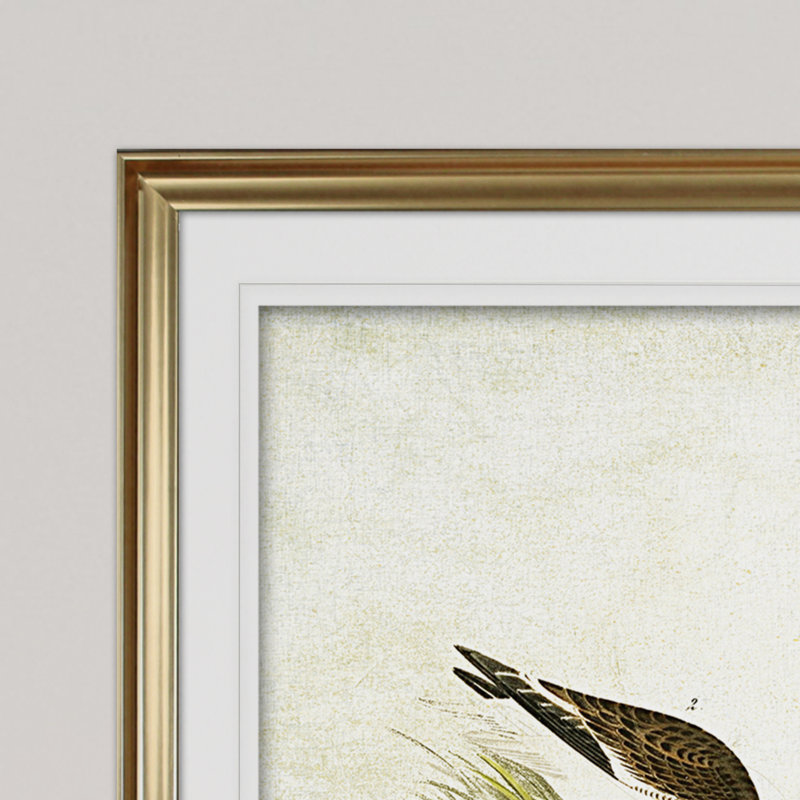 « volière assiette xxi », impression, Cadre doré, H 31 po x l 43 po x P 1,5 po, Blanc mat