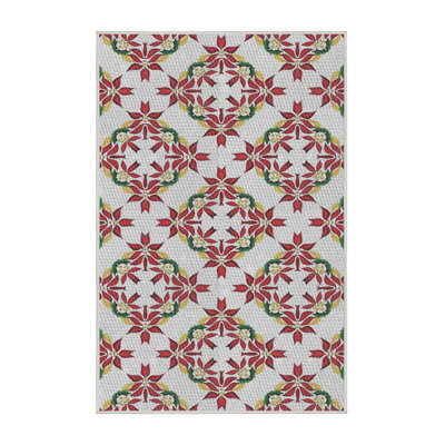 Indoor Rug