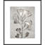 Lucent Botanicals 5 Print by Darrell Kincer-597063037