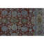 Wool Oriental Area Rug in Rust/Green/Gray