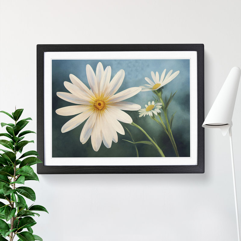 Extraordinary Daisy Flowers - Framed Print, Black Framed, 46cm H x 64cm W x 2cm D