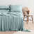 Light Teal
