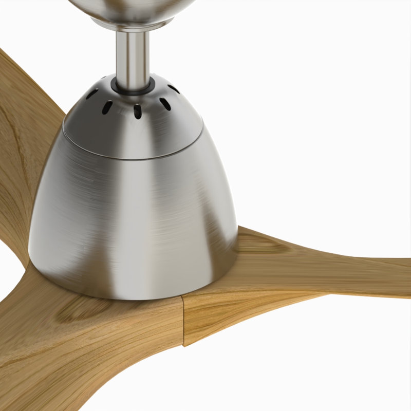 Aristede 60'' Ceiling Fan
