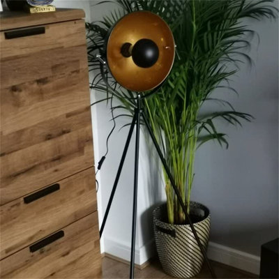 Sholes 148cm Tripod Floor Lamp