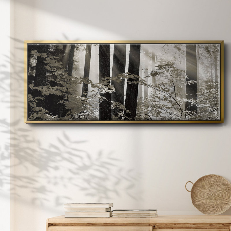 Misty Forest- Framed Canvas, 20" H x 50" W