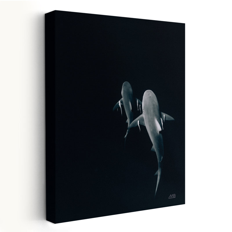 Au-dessus de l'abîme côtier; Nautique, animal, noir, noir et blanc, H 36 po x l 24 po