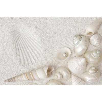 «White Seashells» par Egal - Photographie sur toile tendue