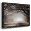 Timeless Plantation Drive, reproduction d'art sur toile-164169039-164169038