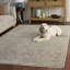 Tapis oriental Whitney 724 Performance-1875002766