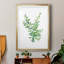Eucalyptus III, reproduction encadrée de qualité supérieure - prête à être accrochée-1266242696-1266242703